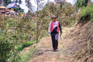 BIB: 
                            <button type="button" onclick="openModal(24843099)" class="btn btn-primary btn-sm float-right btn-popup" data-toggle="modal" data-target=".modal-high-quality">
                        <i class="fas fa-shopping-cart"></i> Add to Cart
                    </button>
                                            <button type="button" onclick="isThisMe(24843099, true)" class="btn btn-success btn-sm float-right btn-popup btn-isme hidden" data-toggle="tooltip" data-placement="bottom" title="นี่คือรูปของคุณใช่ไหม คลิกที่นี่เพื่อเอาเข้าอัลบั้ม">
                        <i class="fas fa-plus"></i> Add to album
                    </button>
                    <button type="button" onclick="isThisMe(24843099, false)" class="btn btn-warning btn-sm float-right btn-popup btn-isnotme hidden">
                        <i class="fas fa-ban"></i> Remove from album
                    </button>